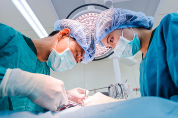 veterinarian surgeons in operation room