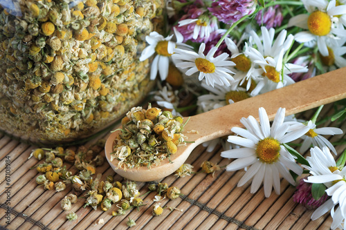 Nowoczesny obraz na płótnie Dried Camomile