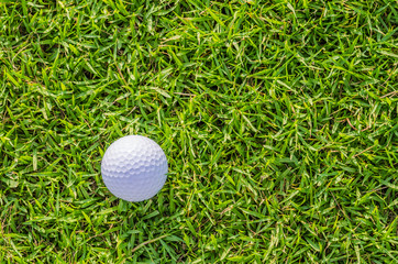 Golf ball on green grass