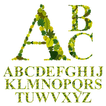 Font made with leaves, floral alphabet letters set, vector desig