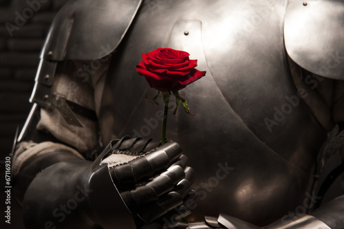 Plakat na zamówienie Knight giving a rose to lady