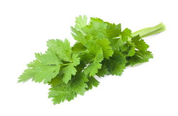 Wall Mural - Celery