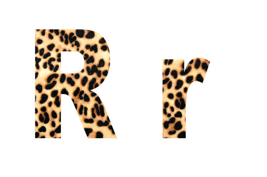 font tiger