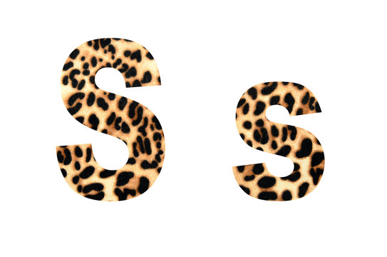 font tiger