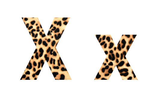 font tiger