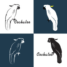 Vector Image Of An Cockatoo