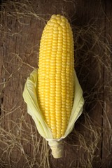 Wall Mural - corn