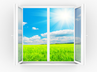 Wall Mural - window