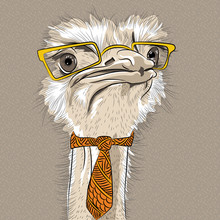 Vector Closeup Portrait Of Funny Ostrich Bird Hipster