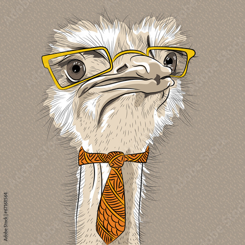 Naklejka ścienna vector closeup portrait of funny Ostrich Bird hipster