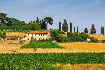 Wall Mural - rural landscape with houses standing alone in the province of Tu