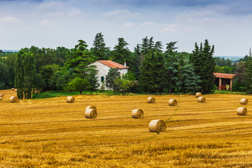 Wall Mural - rural landscape with houses standing alone in the province of Tu