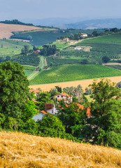 Wall Mural - rural landscape with houses standing alone in the province of Tu