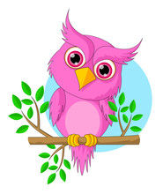Cute Pink Owl