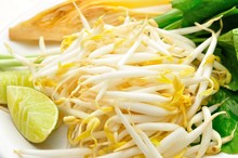 Mung beans or bean sprouts on white plates