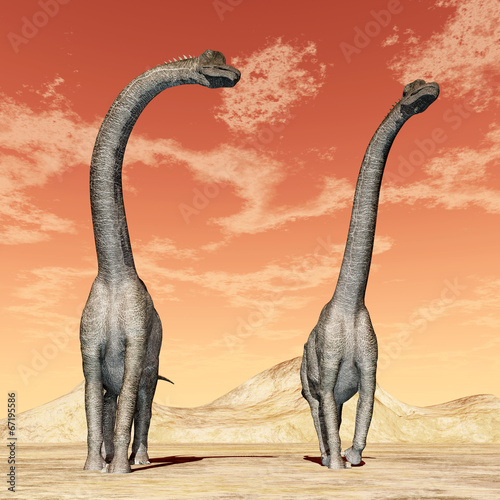 Obraz w ramie Dinosaur Brachiosaurus