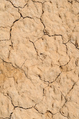 Poster - Dry soil and sand closeup texture