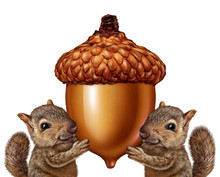 Squirrels Holding An Acorn