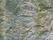 Fossilien im Sandstein