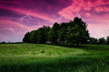 Wall Mural - thunderstorm with lightning in green meadow