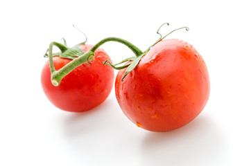 Wall Mural - Tomato isolated on white