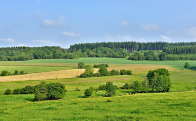 landscape in walloon, province namur in belgium