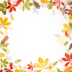 Wall Mural - Vector Illustration of Autumn Leaves