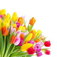 Fototapete - Tulpenstrauß