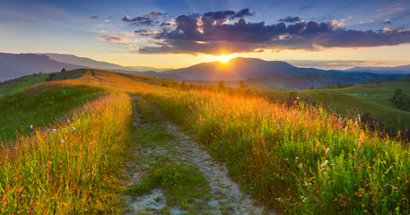 Wall Mural - Panorama of the colorful summer evening  in the mountains.
