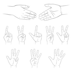 Hands. Vector set. Isolated on white background