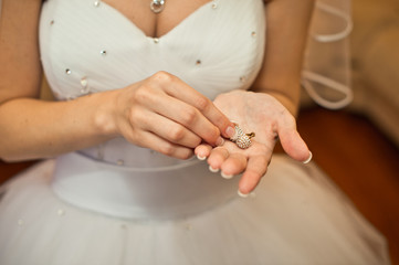 Wall Mural - Ornaments in hands of the bride.