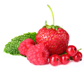 Forest berries isolated on white