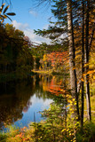 Fototapeta Las - Quiet lake in the autumn forest