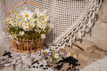 Wall Mural - still life bouquet with chamomiles