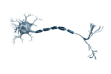 digital illustration neurons