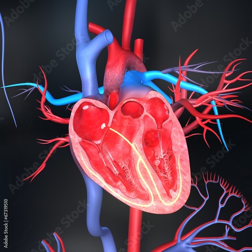 Naklejka - mata magnetyczna na lodówkę Heart