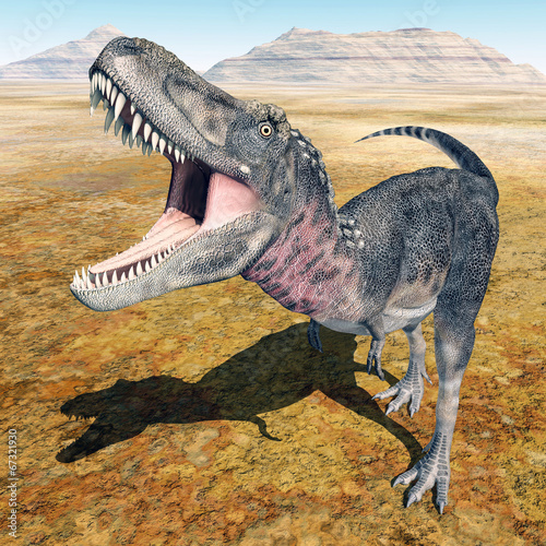 Obraz w ramie Dinosaur Tarbosaurus