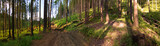Fototapeta Fototapety na ścianę - Góry, Mountains, Las, Forest, Wood, Polska