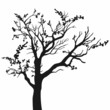 Tree silhouette with leaves on white background.