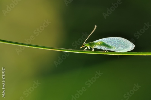 500_F_67357327_vAS461AiLyJwbHeDYNoAZySwcK36czdN.jpg