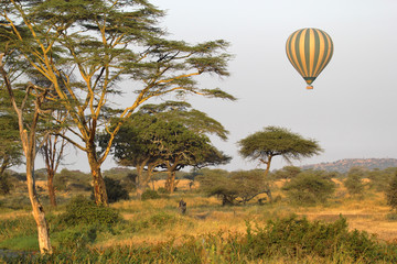 Flying green and yellow balloon flying over the savannah