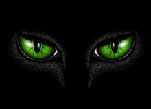 Green Cat Eyes