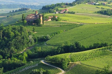 Wall Mural - Barolo Castello di La Volta 08