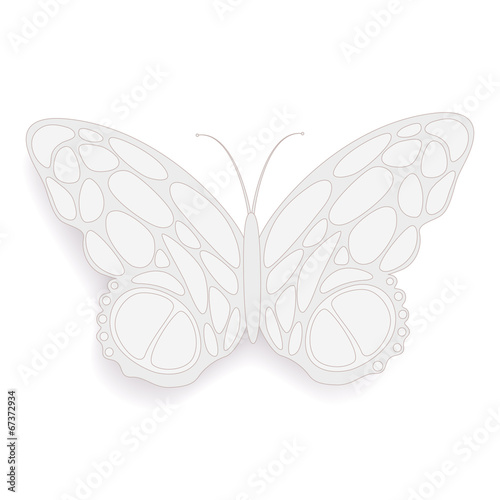 Fotografie, Obraz Butterfly abstract on a white background, vector illustration
