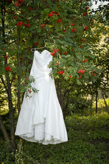 Wall Mural - Dress of the bride on a mountain as