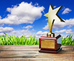 star award at the table