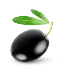 Poster - Isolated olive. Single black olive fruit with leaf isolated on white background