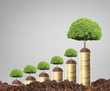 © denphumi - green plant on  gold coins
