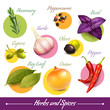 Herbs and spices set