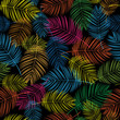 feathers colorful seamless pattern